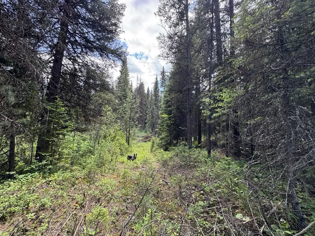 768 Deep Woods Trail Polebridge MT 59928