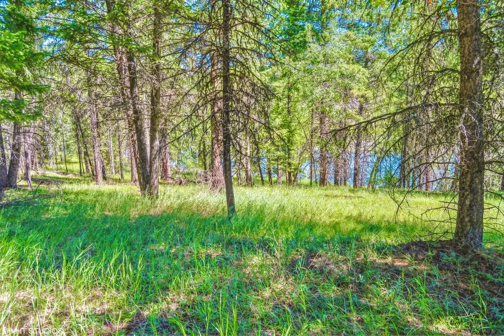 Nhn Crystal Lakes Drive Fortine MT 59918