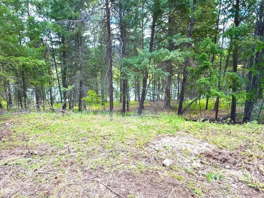 Nhn Crystal Lakes Drive Fortine MT 59918