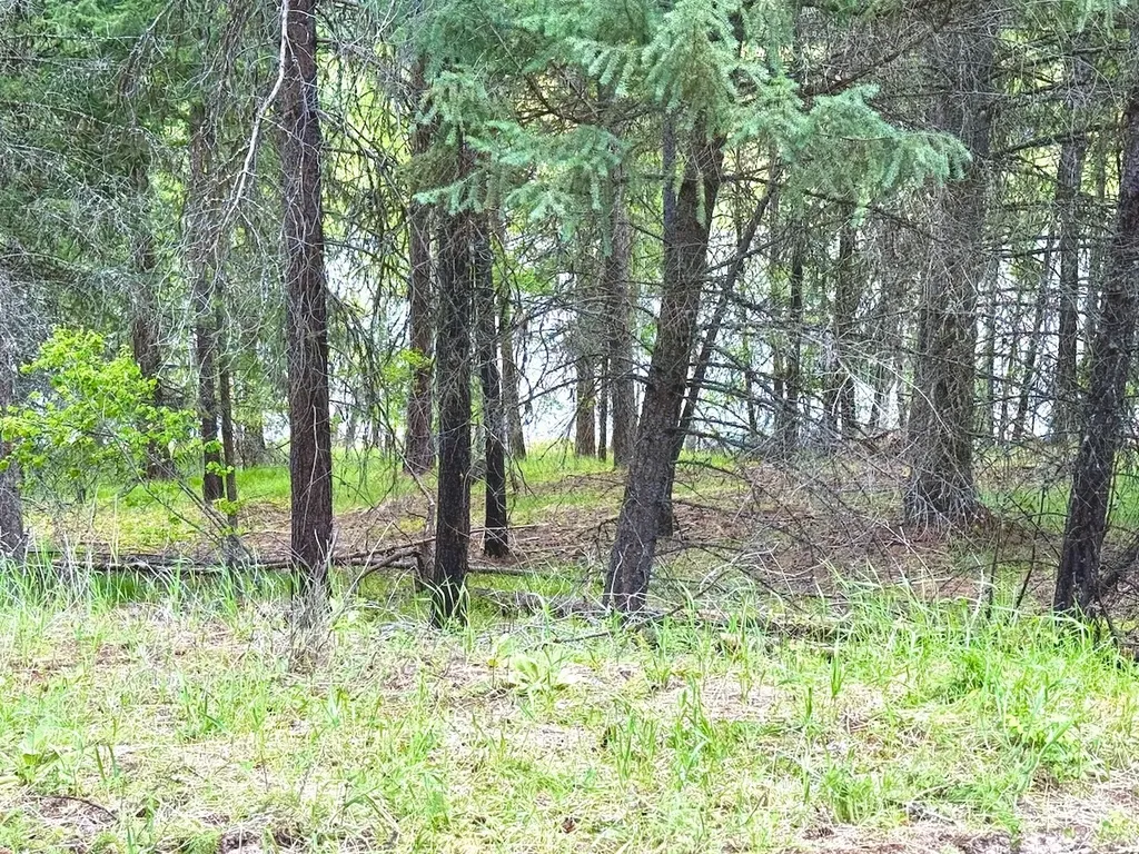 Nhn Crystal Lakes Drive Fortine MT 59918
