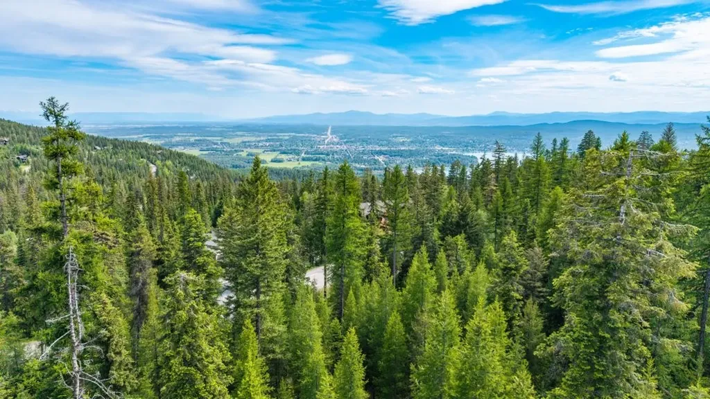 211 N Beargrass Circle Whitefish MT 59937
