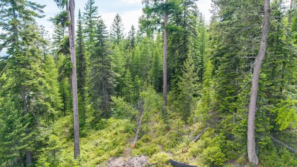 211 N Beargrass Circle Whitefish MT 59937