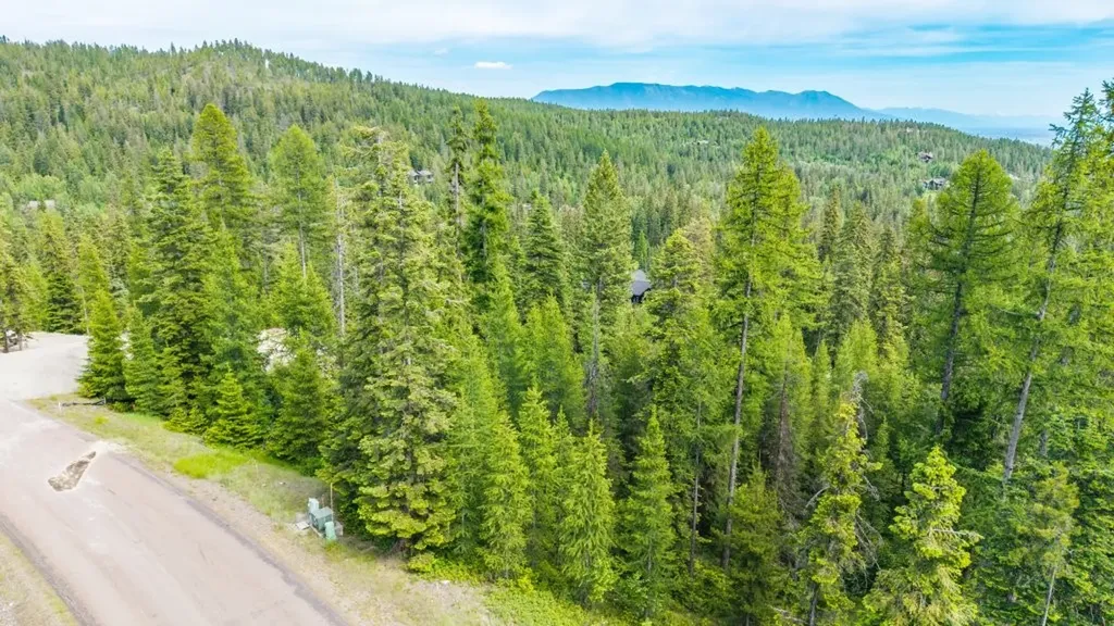 211 N Beargrass Circle Whitefish MT 59937
