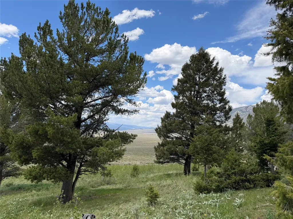Lot 2 & 4a Continental Divide Road Cameron MT 59720
