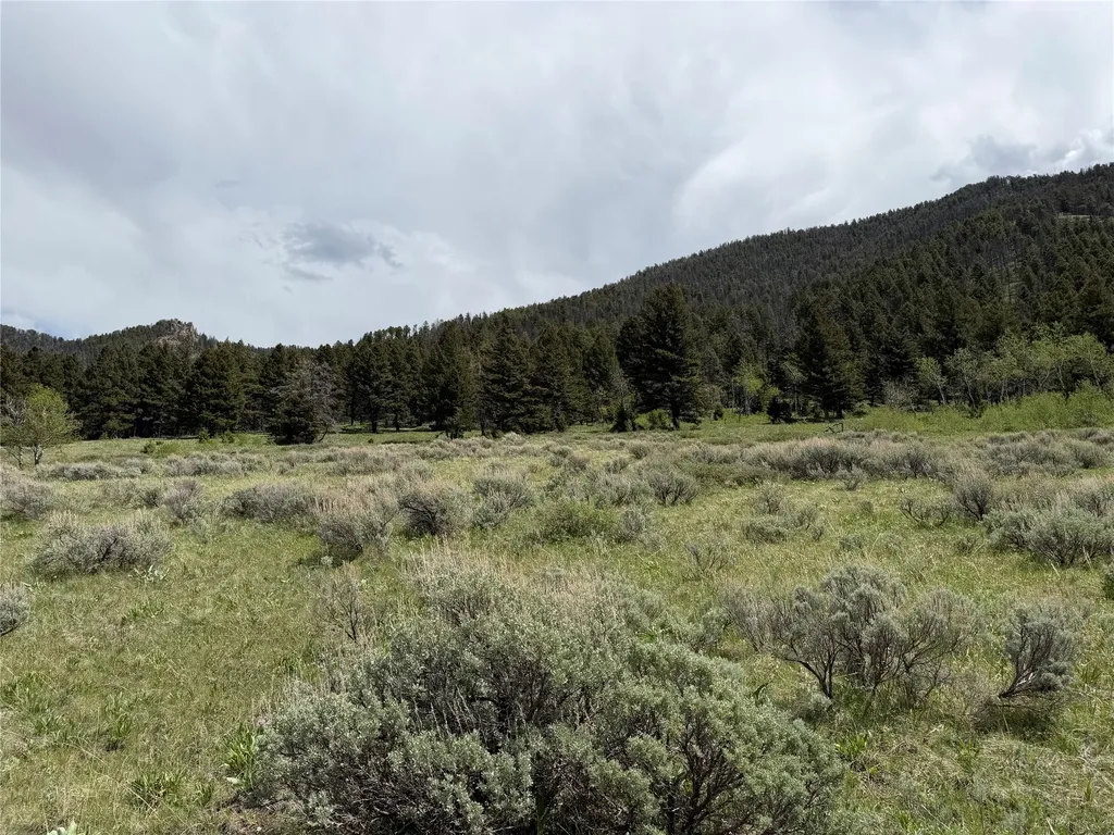 Lot 2 & 4a Continental Divide Road Cameron MT 59720