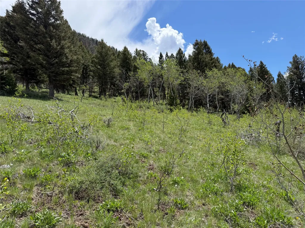 Lot 2 & 4a Continental Divide Road Cameron MT 59720