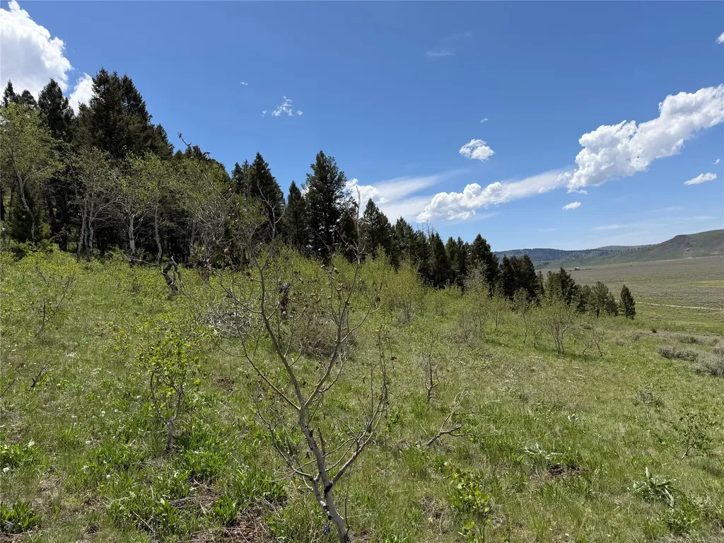 Lot 2 & 4a Continental Divide Road Cameron MT 59720