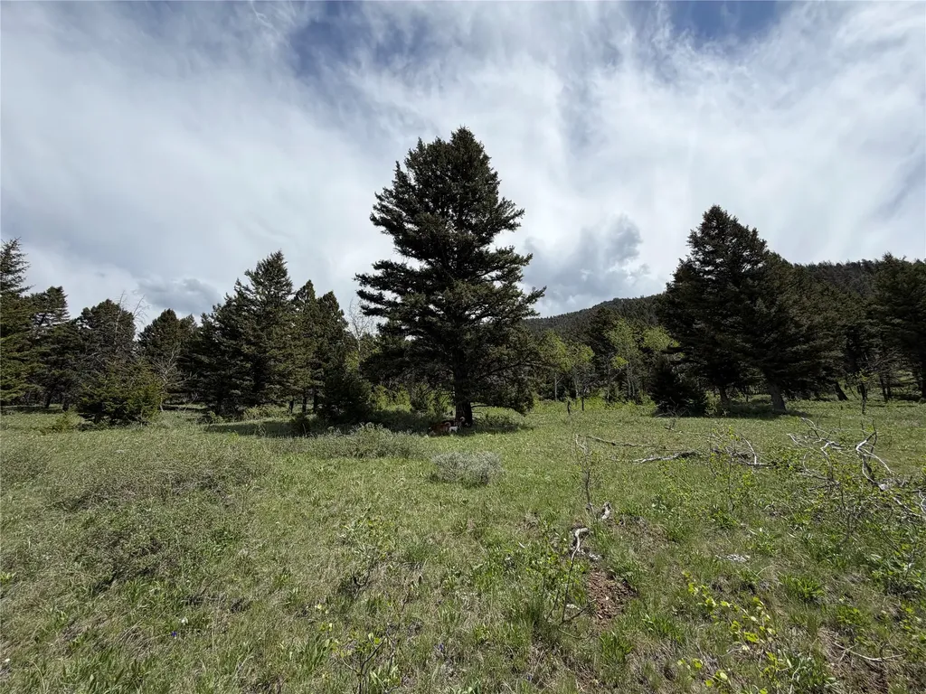 Lot 2 & 4a Continental Divide Road Cameron MT 59720
