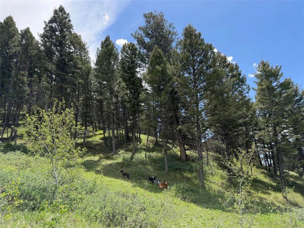 Lot 2 & 4a Continental Divide Road Cameron MT 59720