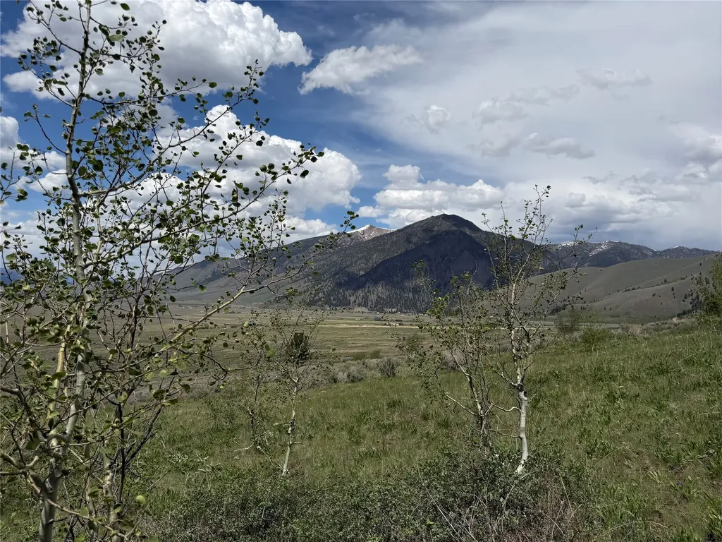 Lot 2 & 4a Continental Divide Road Cameron MT 59720