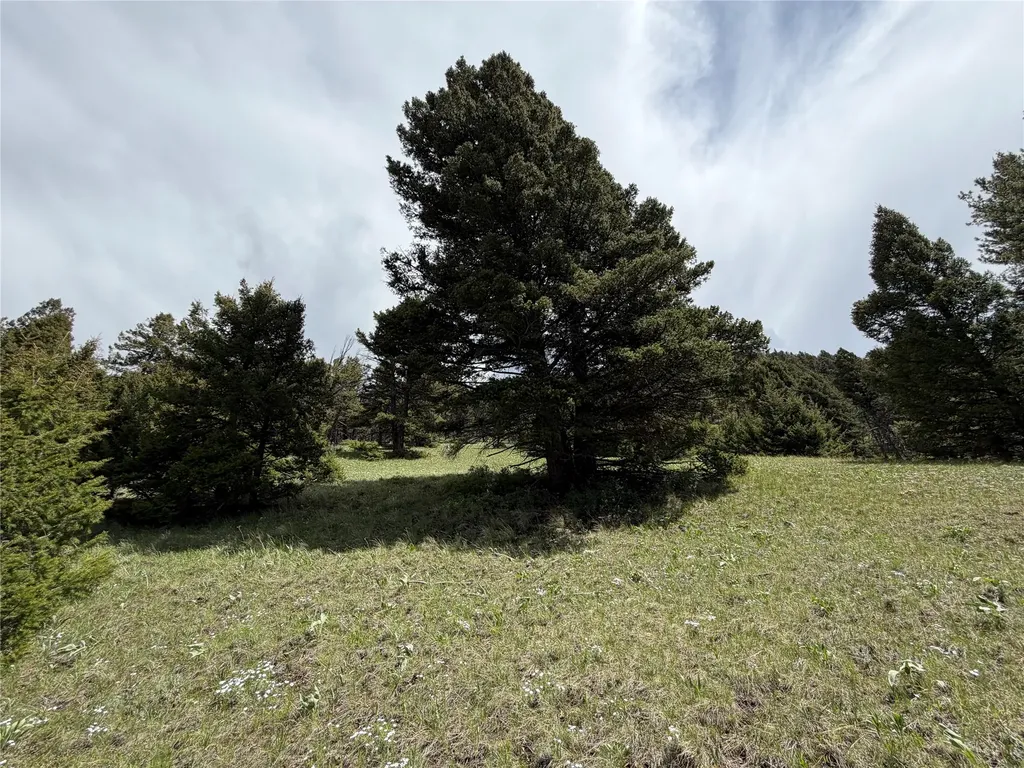 Lot 2 & 4a Continental Divide Road Cameron MT 59720