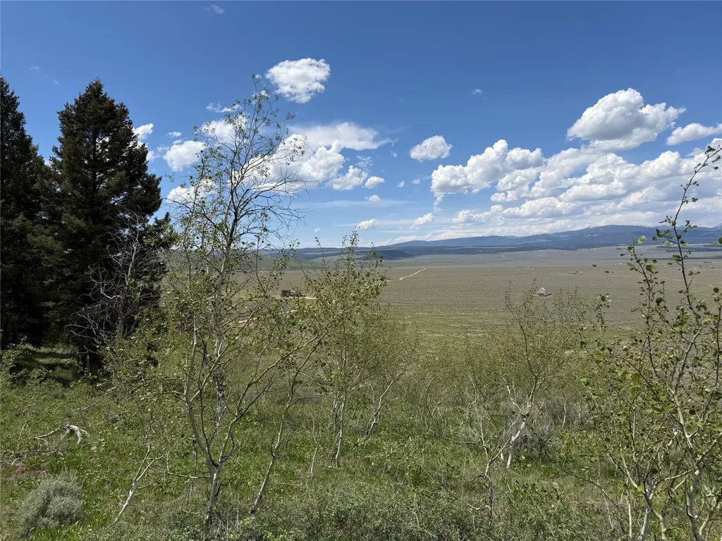 Lot 2 & 4a Continental Divide Road Cameron MT 59720
