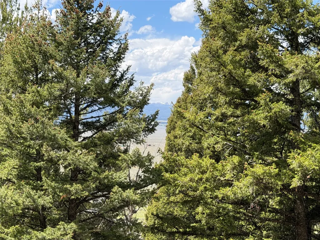 Lot 2 & 4a Continental Divide Road Cameron MT 59720