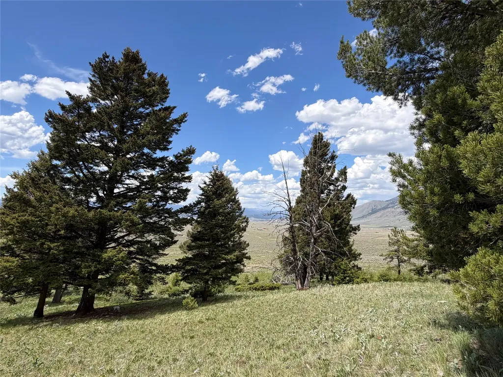 Lot 2 & 4a Continental Divide Road Cameron MT 59720