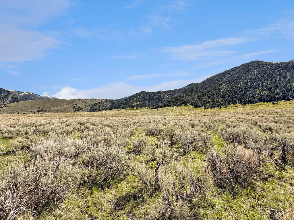 Lot 2 & 4a Continental Divide Road Cameron MT 59720