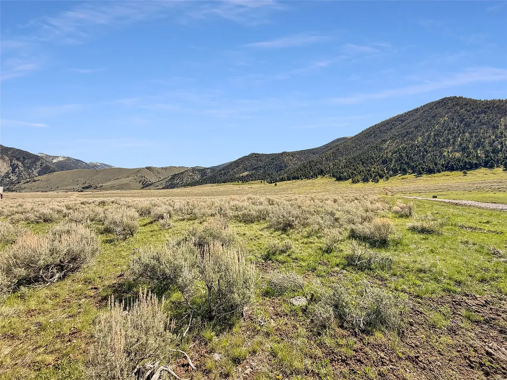 Lot 2 & 4a Continental Divide Road Cameron MT 59720