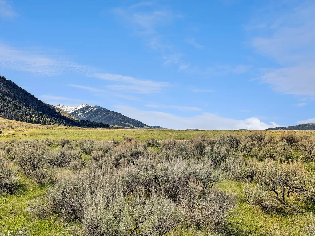 Lot 2 & 4a Continental Divide Road Cameron MT 59720