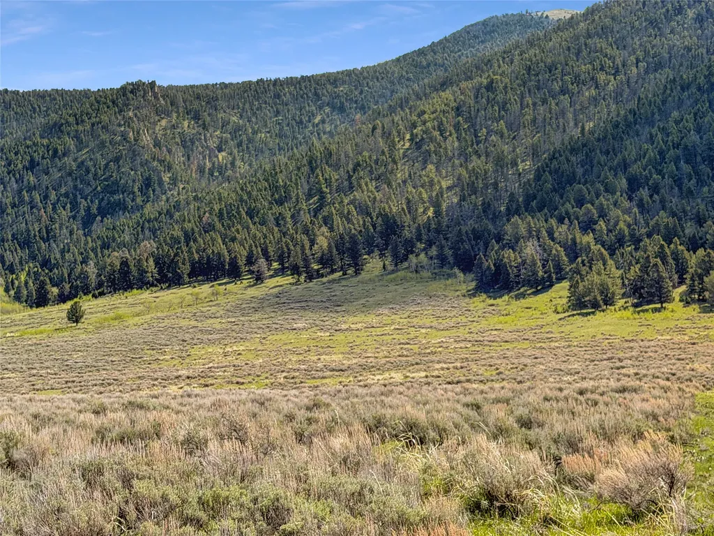 Lot 2 & 4a Continental Divide Road Cameron MT 59720