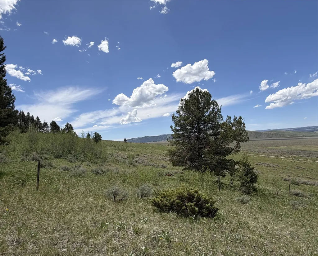 Lot 2 & 4a Continental Divide Road Cameron MT 59720