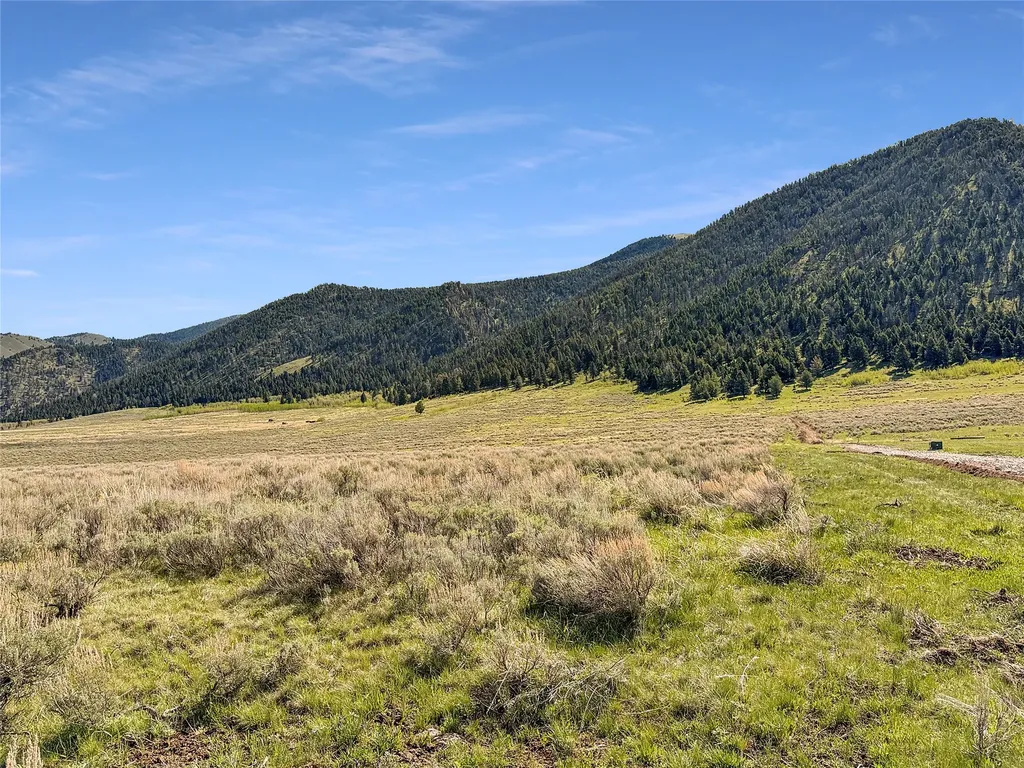 Lot 2 & 4a Continental Divide Road Cameron MT 59720