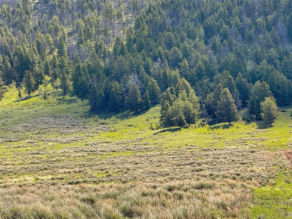Lot 2 & 4a Continental Divide Road Cameron MT 59720