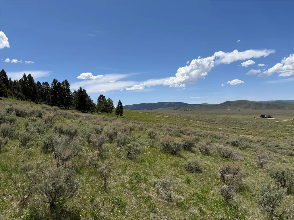 Lot 2 & 4a Continental Divide Road Cameron MT 59720