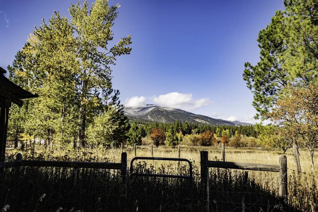 4694 Watt Lane Stevensville MT 59870