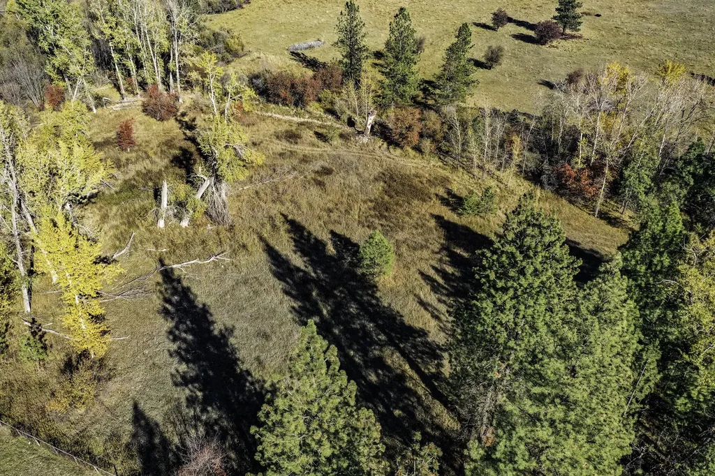 4694 Watt Lane Stevensville MT 59870