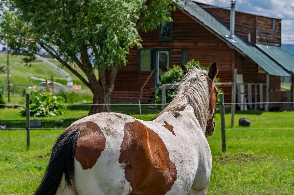 2139 Old Reserve Drive Kalispell MT 59901