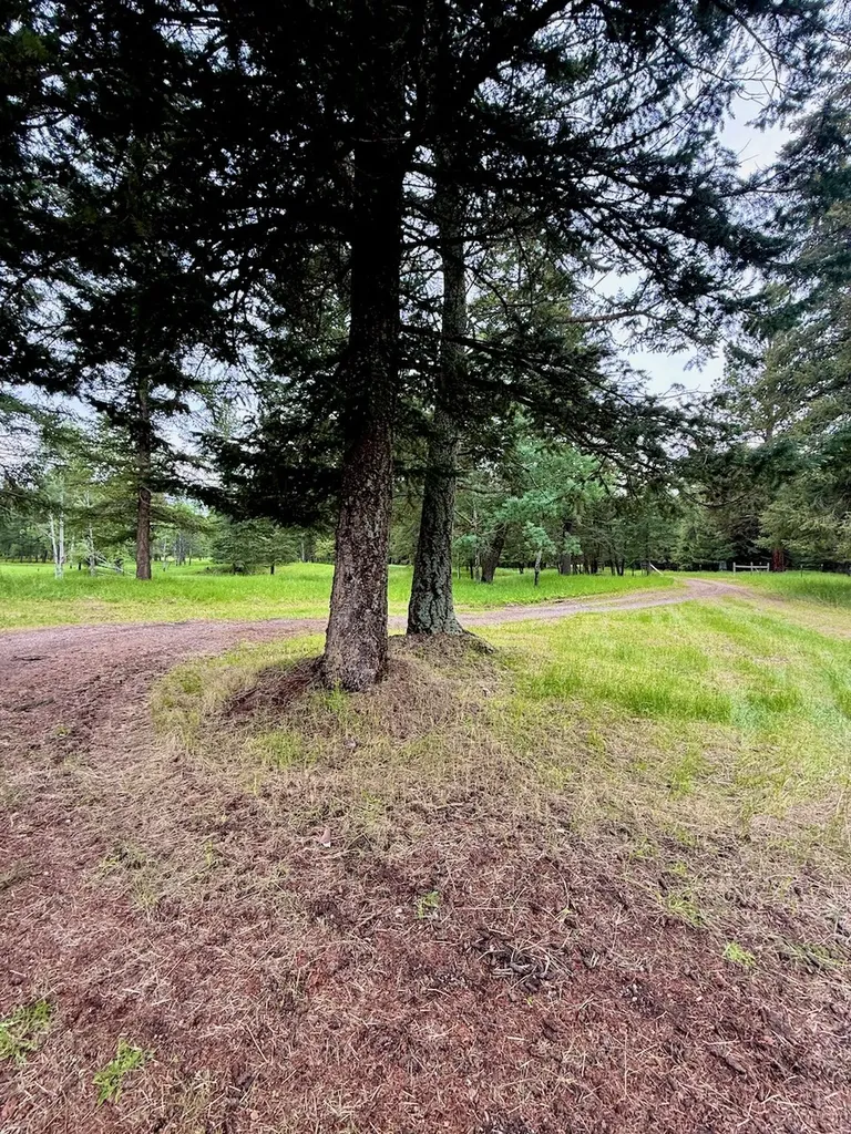 2397 Grave Creek Road Eureka MT 59917