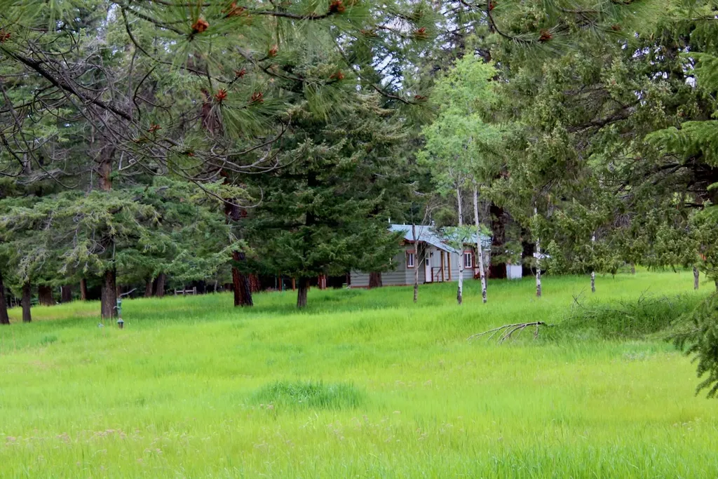 2397 Grave Creek Road Eureka MT 59917