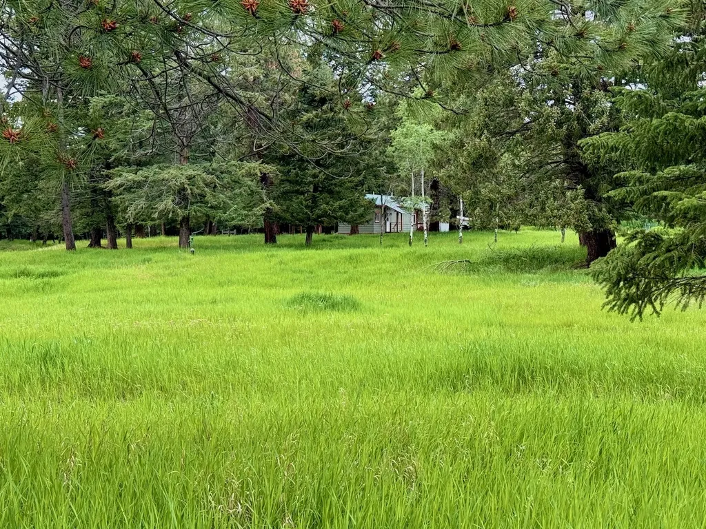 2397 Grave Creek Road Eureka MT 59917