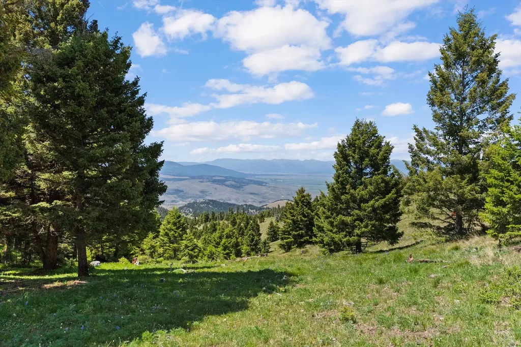 3858 Westridge Road Helmville MT 59843