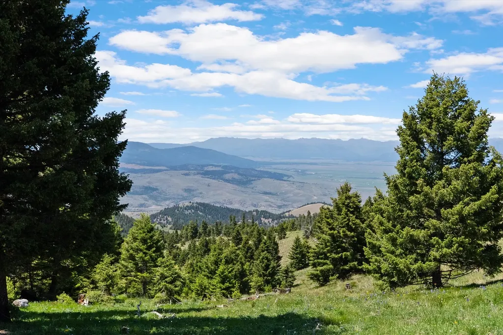 3858 Westridge Road Helmville MT 59843