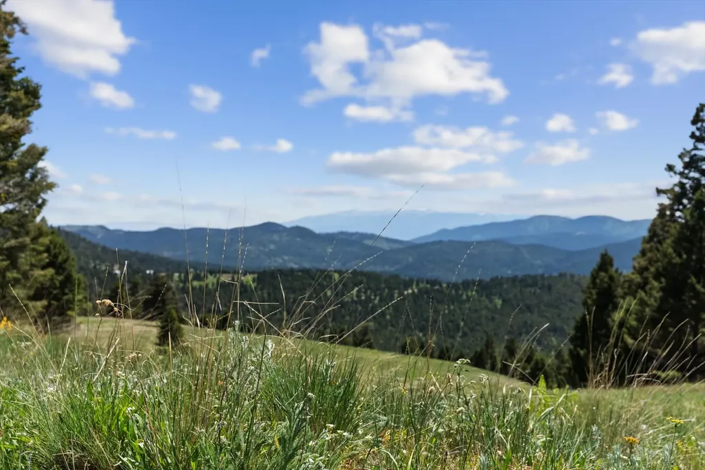3858 Westridge Road Helmville MT 59843