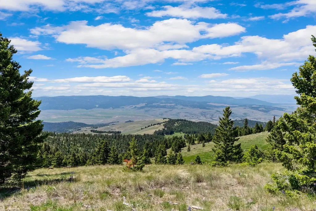 3858 Westridge Road Helmville MT 59843