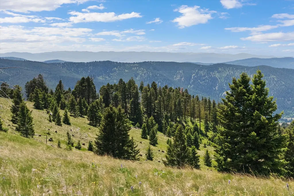 3858 Westridge Road Helmville MT 59843