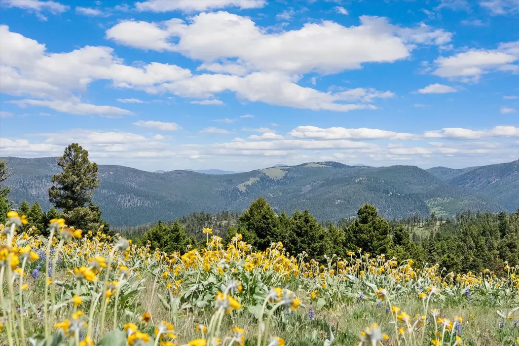 3858 Westridge Road Helmville MT 59843