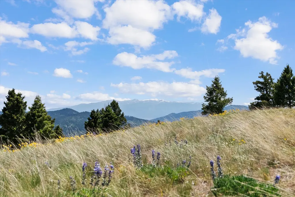 3858 Westridge Road Helmville MT 59843