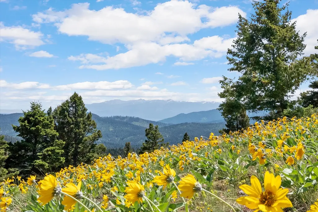 3858 Westridge Road Helmville MT 59843