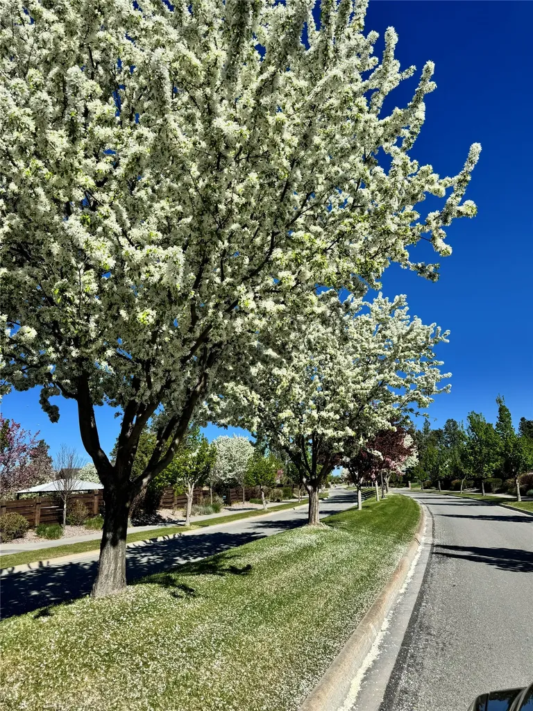 136 Antler Peak Lane Kalispell MT 59901