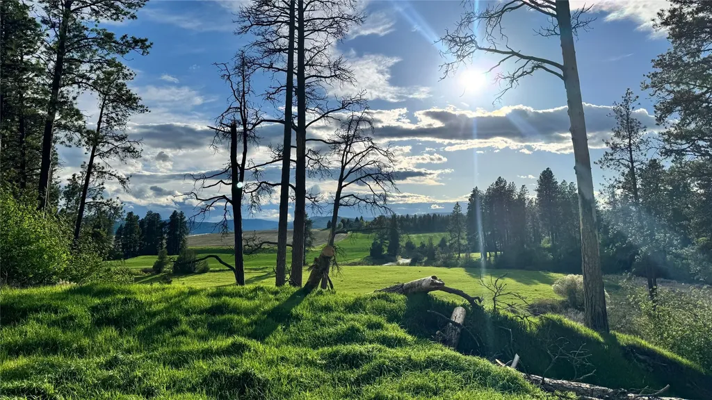 136 Antler Peak Lane Kalispell MT 59901