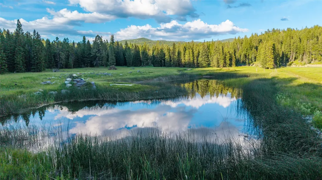1451 Coon Hollow Road Kila MT 59920