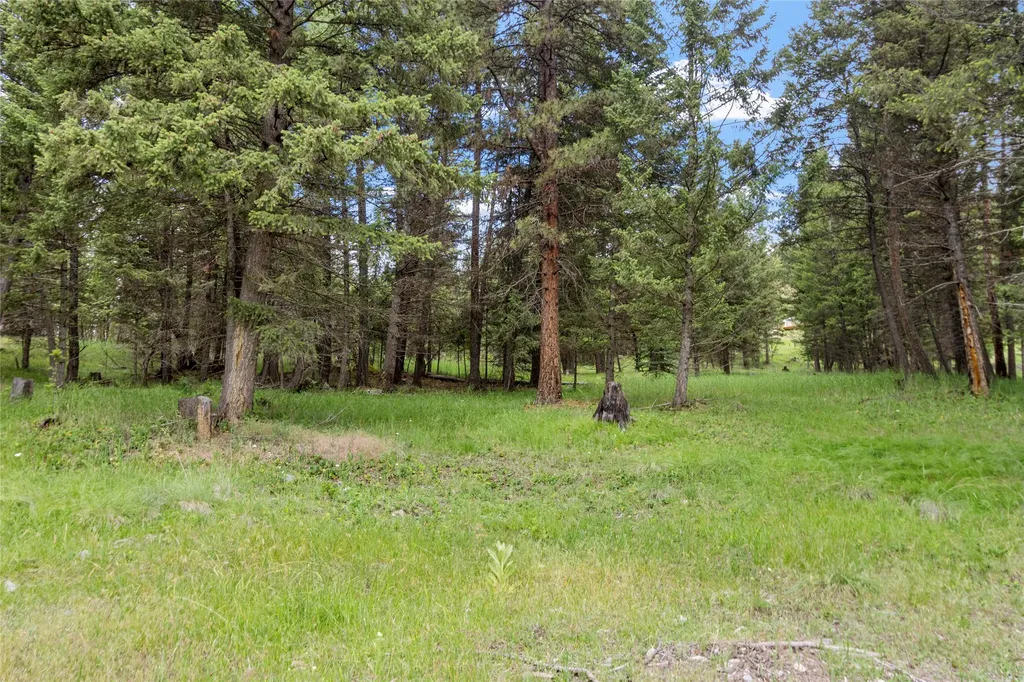 1451 Coon Hollow Road Kila MT 59920