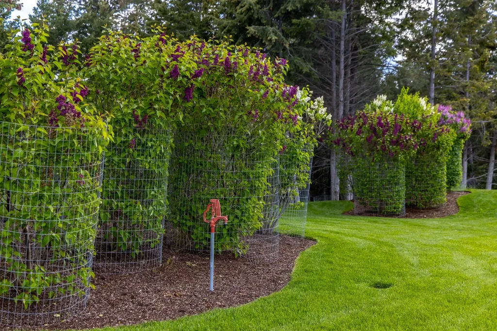 440 Orchard Ridge Kalispell MT 59901