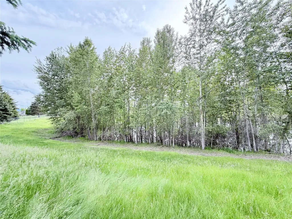 180 Buffalo Stage Kalispell MT 59901