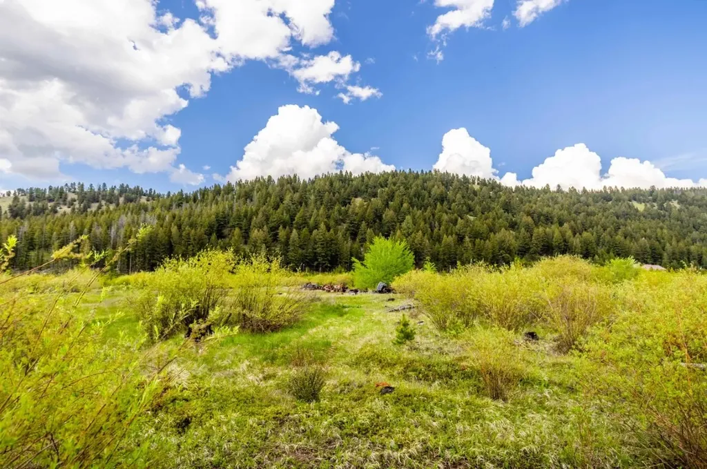 Rumsey Road Rumsey Road Philipsburg MT 59858