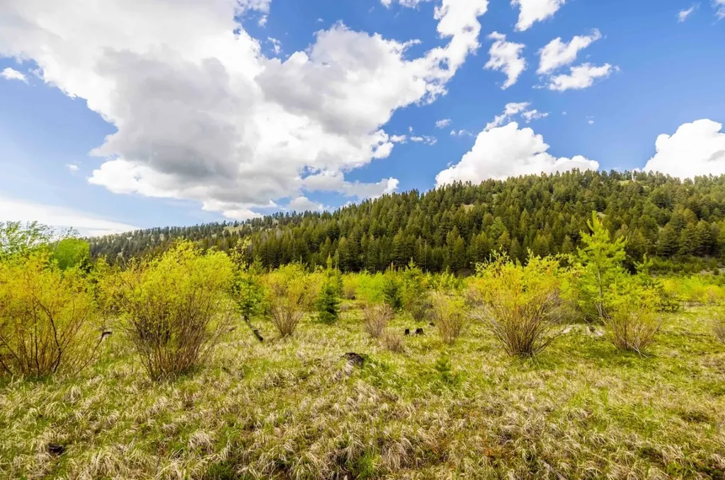 Rumsey Road Philipsburg MT 59858