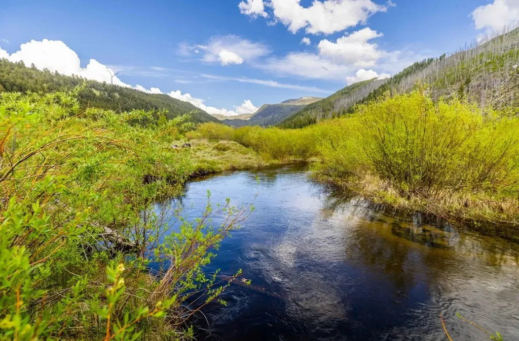 Nhn Rumsey Road Philipsburg MT 59858
