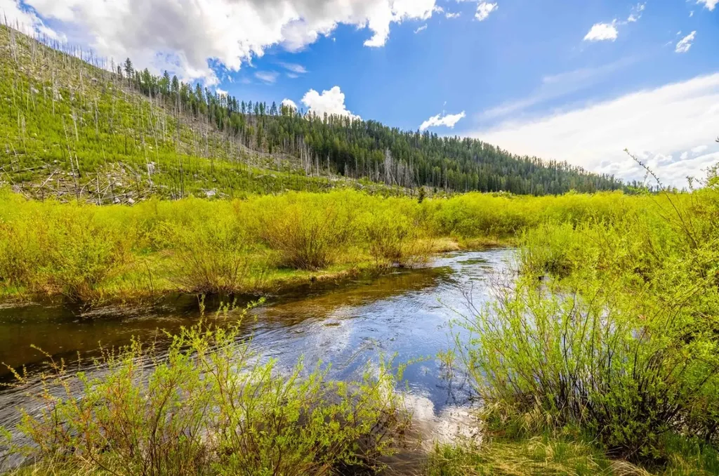 Nhn Rumsey Road Philipsburg MT 59858